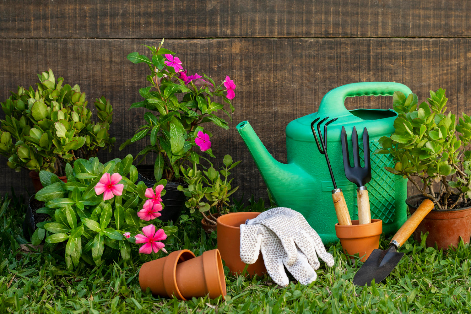 Garden & Outdoors